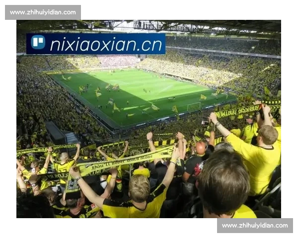 打造全方位体育娱乐平台 提供专业赛事资讯 视频直播 互动社交及线上商城服务