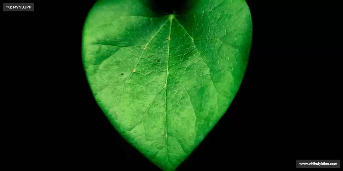 我们的品牌价值